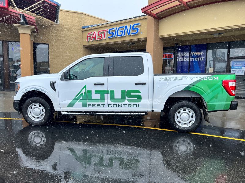 vehicle graphics